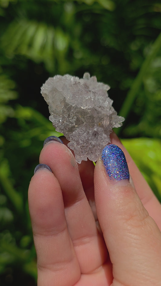 Zeolite Cluster • Option C • Brazil