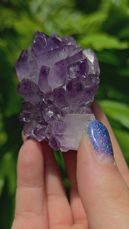 Amethyst Cluster • Option S • Brazil