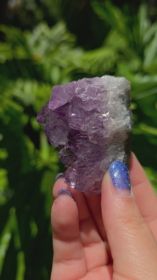 Amethyst Cluster • Option O • Brazil