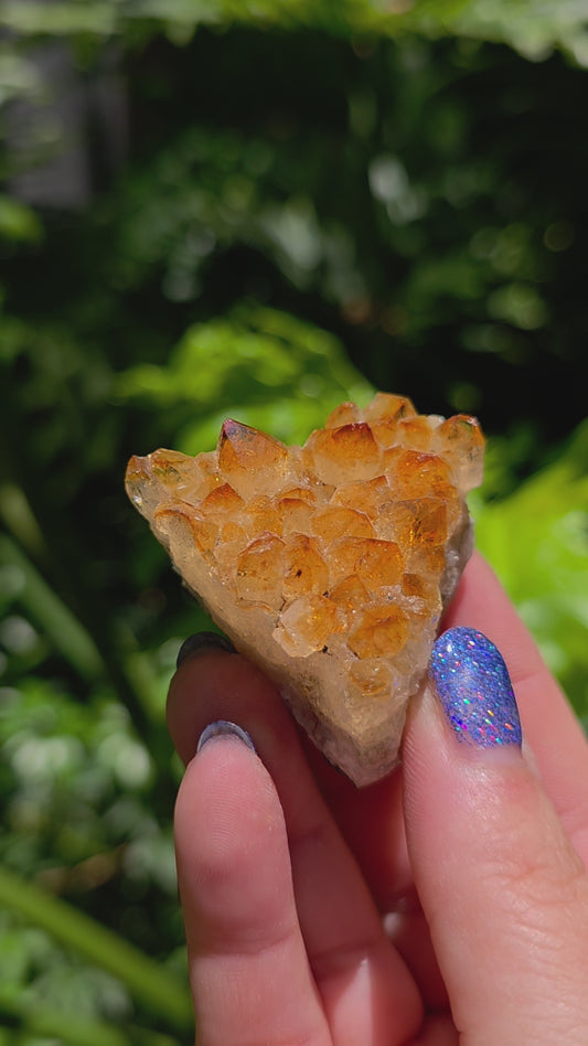 Citrine Cluster • Option K • Brazil • Heat-Treated