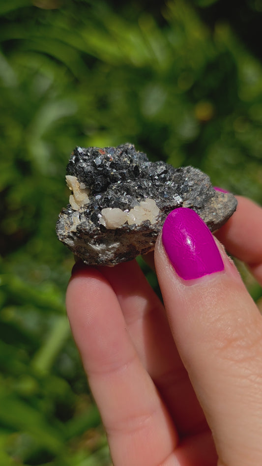 Galena & Marcasite Specimen • Option P
