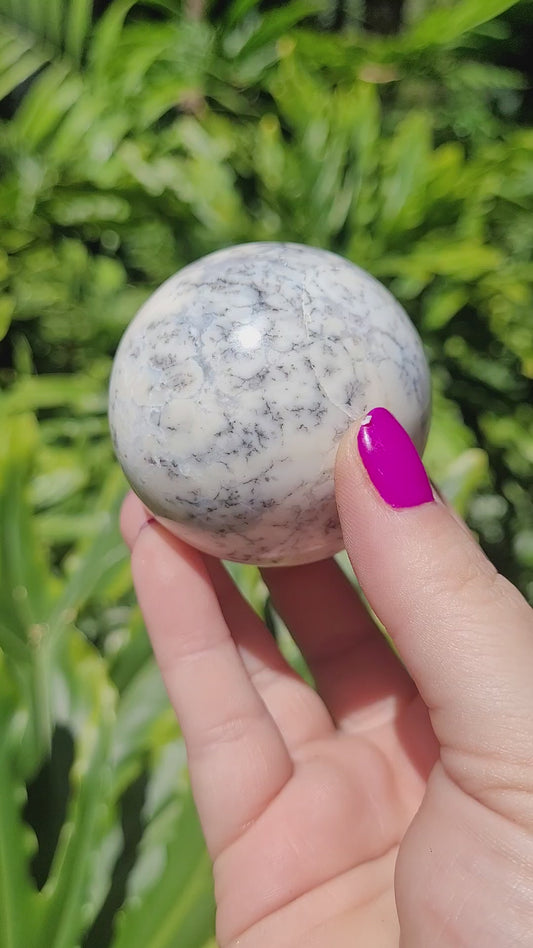 Dendritic Opal Sphere • Option C
