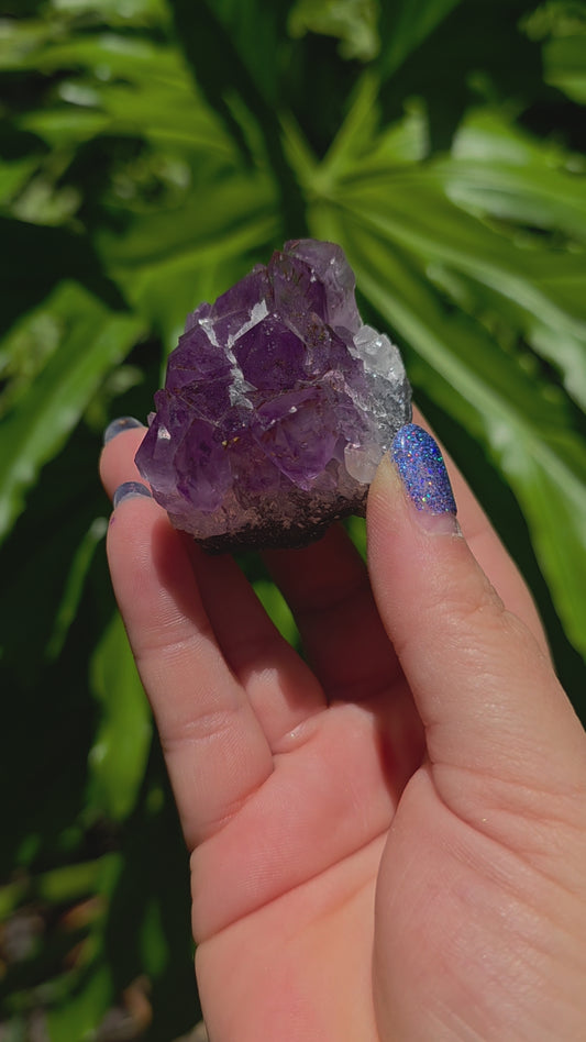 Amethyst Cluster • Option B • Brazil