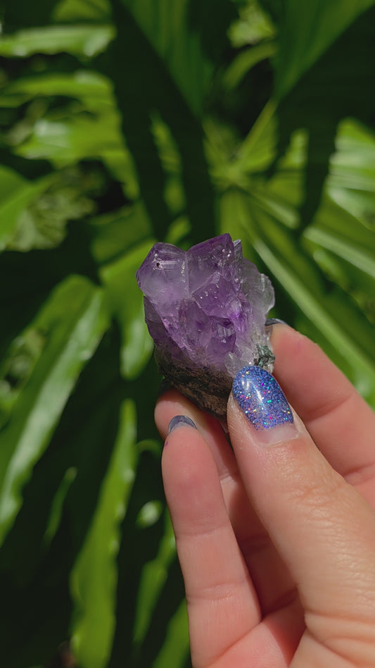 Amethyst Cluster • Option D • Brazil