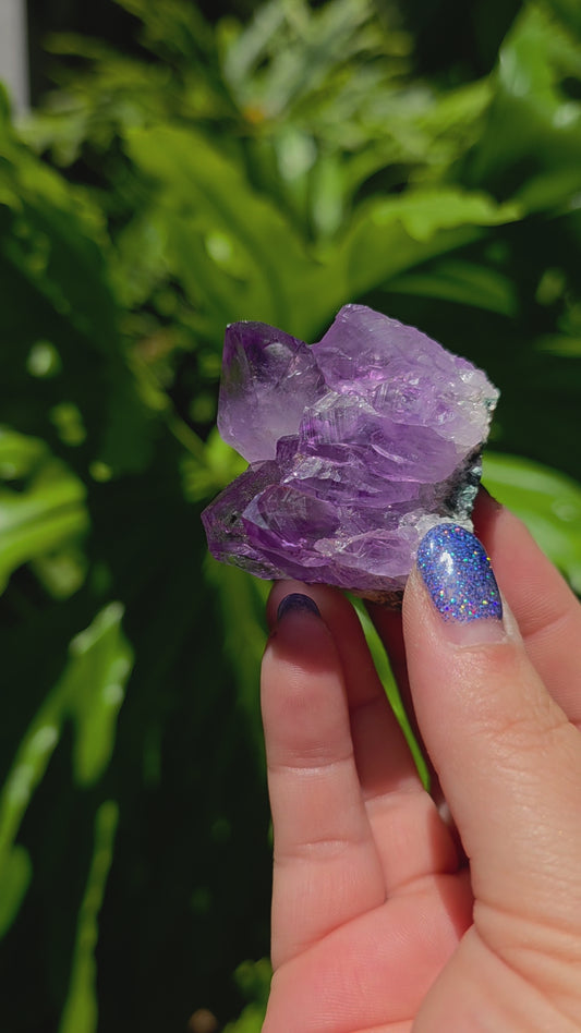 Amethyst Cluster • Option T • Brazil