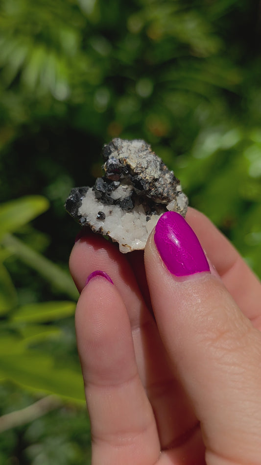 Galena & Marcasite Specimen • Option D