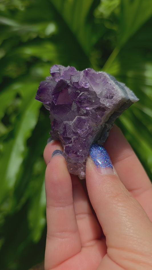 Amethyst Cluster • Option E • Brazil