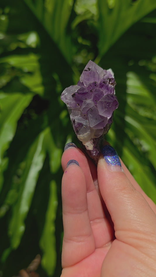 Amethyst Cluster • Option F • Brazil