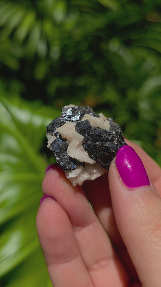 Galena & Marcasite Specimen • Option M