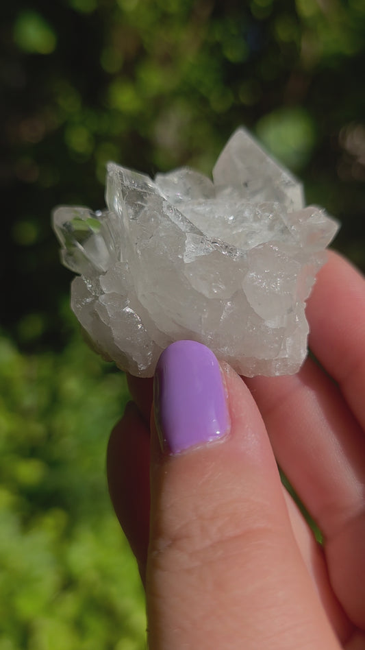 Clear Quartz Cluster • Option U • Brazil