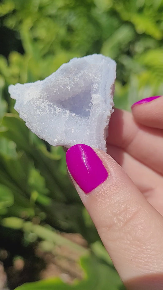 Blue Lace Agate Specimen • Option A