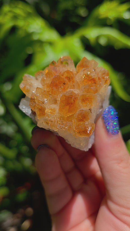 Citrine Cluster • Option G • Brazil • Heat-Treated