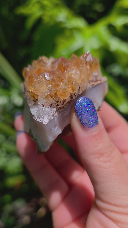 Citrine Cluster • Option F • Brazil • Heat-Treated