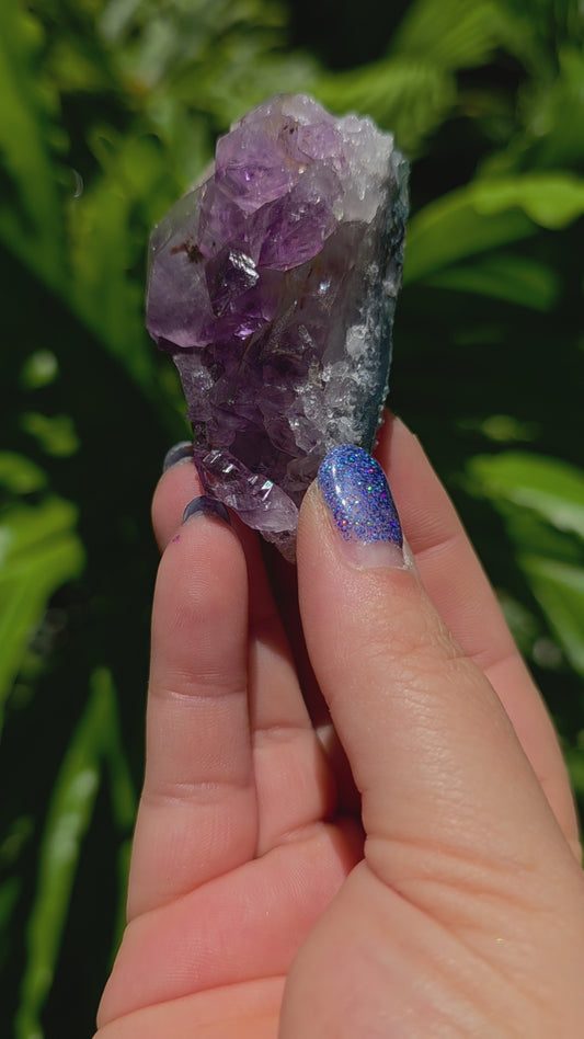 Amethyst Cluster • Option M • Brazil
