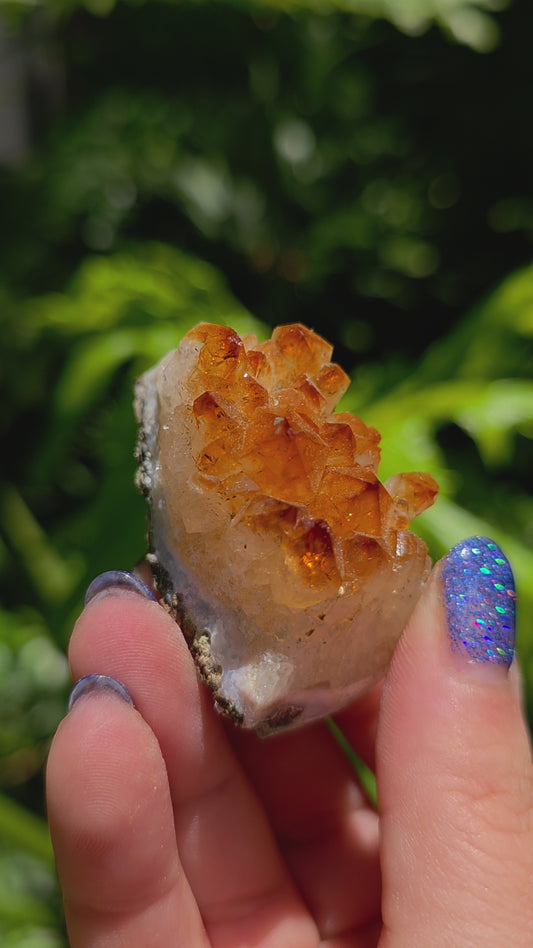 Citrine Cluster • Option J • Brazil • Heat-Treated