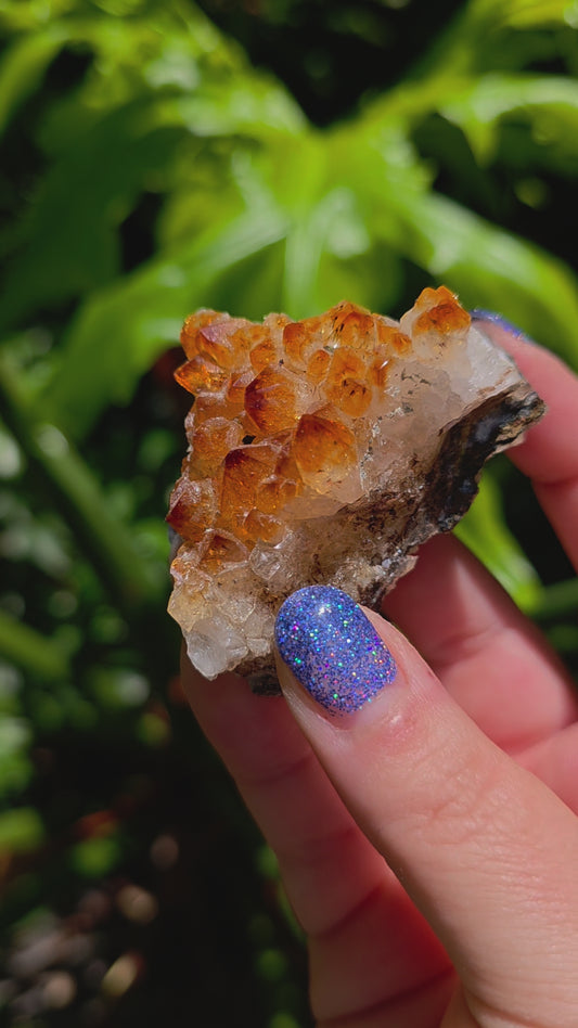 Citrine Cluster • Option E • Brazil • Heat-Treated