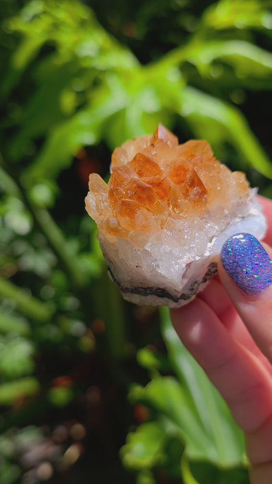 Citrine Cluster • Option C • Brazil • Heat-Treated