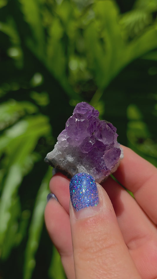 Amethyst Cluster • Option L • Brazil