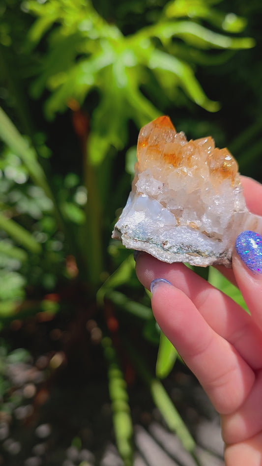 Citrine Cluster • Option A • Brazil • Heat-Treated