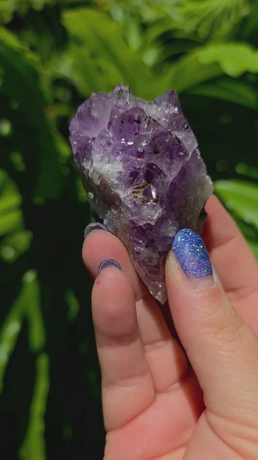 Amethyst Cluster • Option Q • Brazil