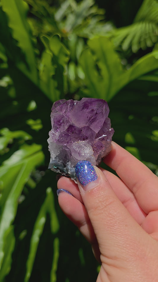 Amethyst Cluster • Option N • Brazil