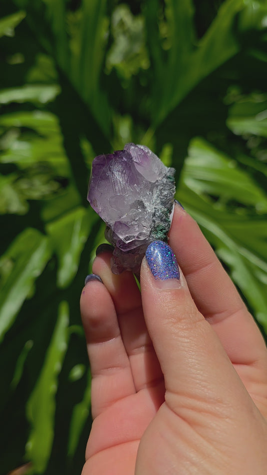 Amethyst Cluster • Option C • Brazil