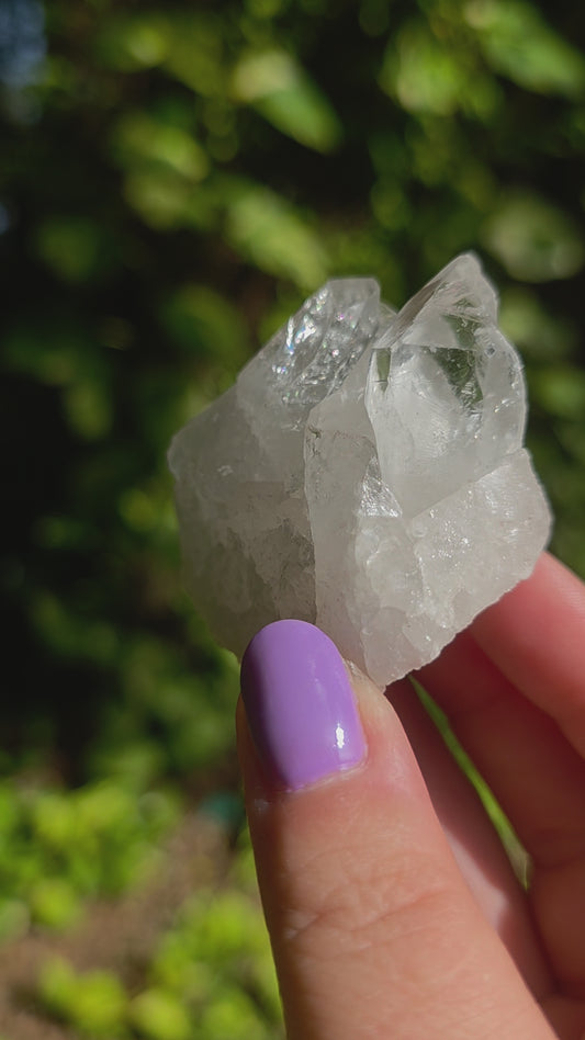 Clear Quartz Cluster • Option W • Brazil