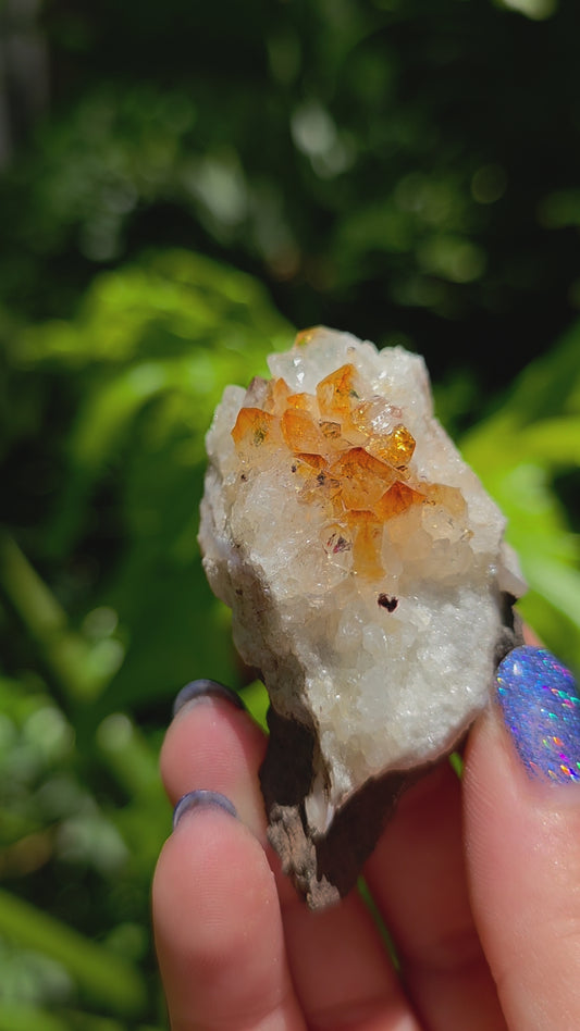 Citrine Cluster • Option L • Brazil • Heat-Treated
