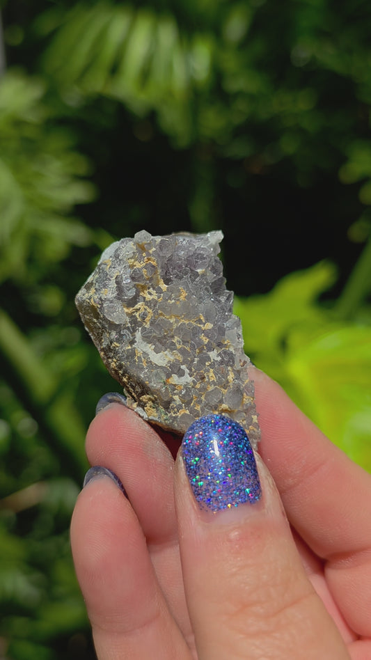 Zeolite Cluster • Option F • Brazil