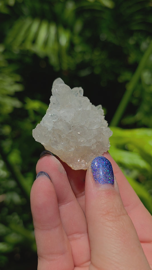 Zeolite Cluster • Option D • Brazil