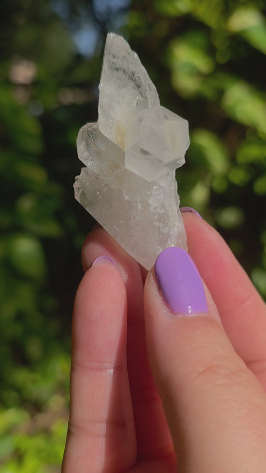 Clear Quartz Cluster • Option X • Brazil