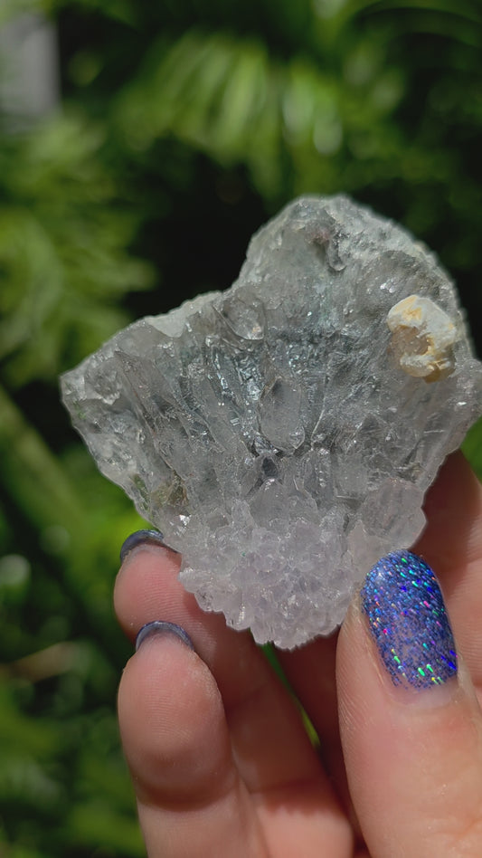 Zeolite Cluster • Option L • Brazil