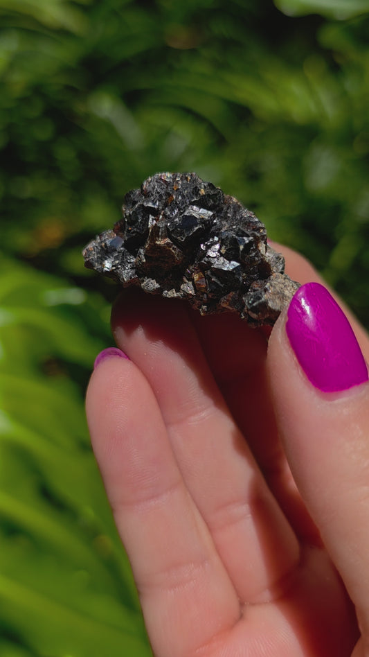 Galena & Marcasite Specimen • Option N
