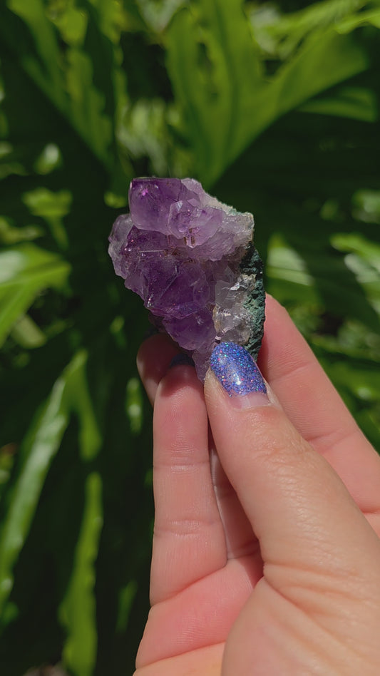 Amethyst Cluster • Option G • Brazil