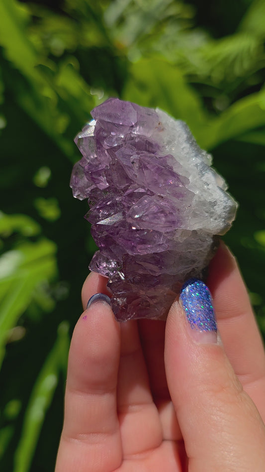 Amethyst Cluster • Option P • Brazil