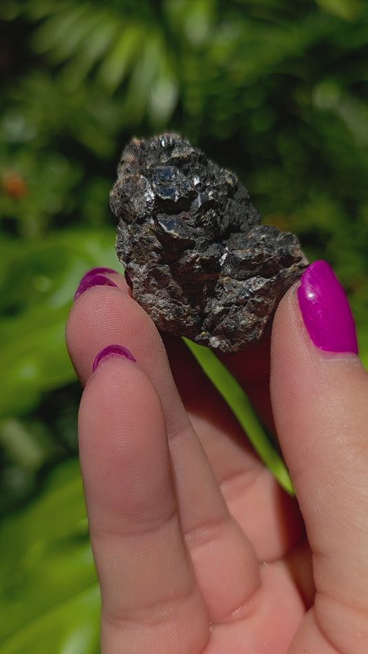 Galena & Marcasite Specimen • Option O