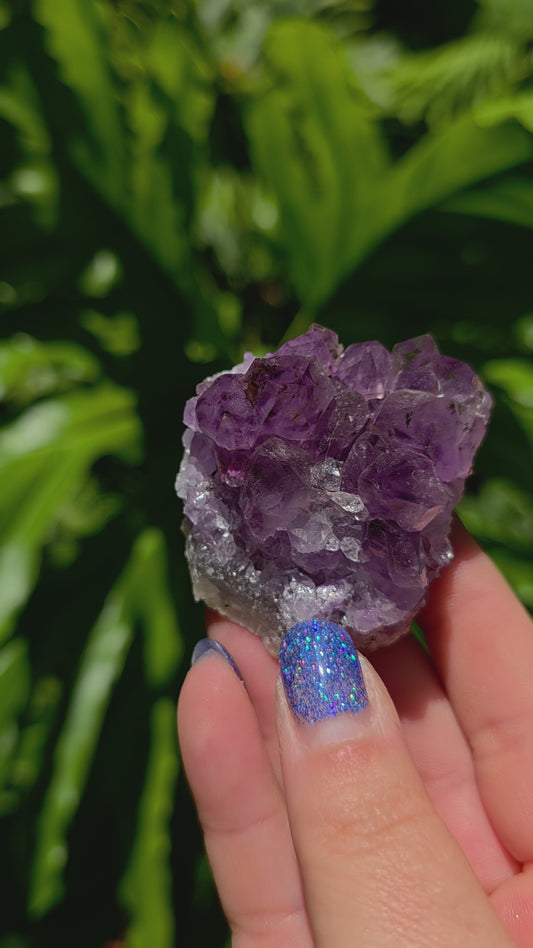 Amethyst Cluster • Option K • Brazil