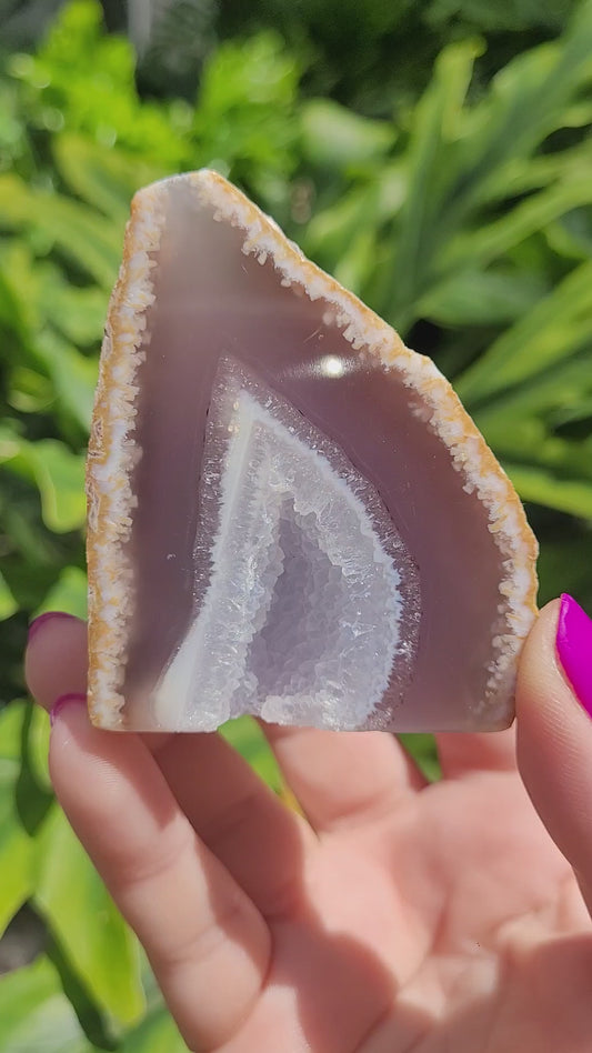Polished Agate Geode • Option B