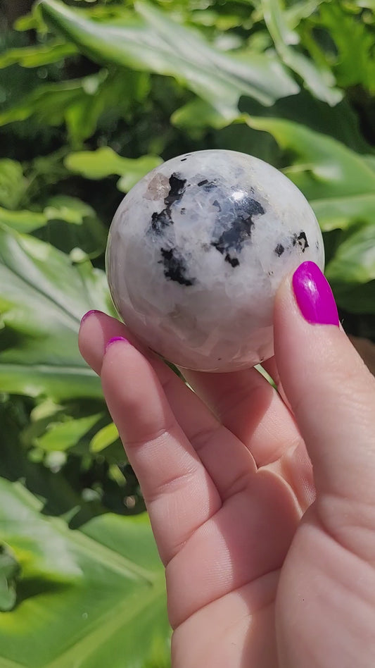 Rainbow Moonstone Sphere • Option B