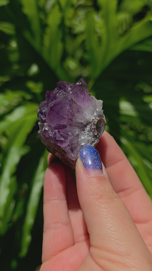 Amethyst Cluster • Option I • Brazil