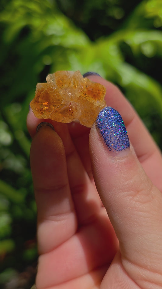 Citrine Cluster • Option H • Brazil • Heat-Treated