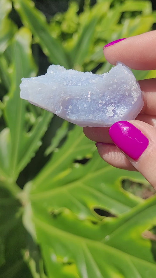 Blue Lace Agate Specimen • Option D
