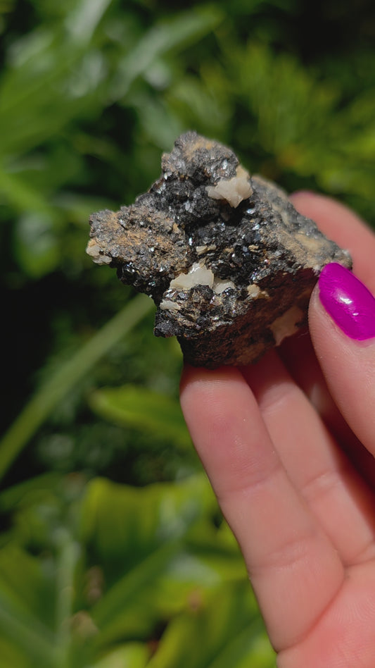 Galena & Marcasite Specimen • Option R