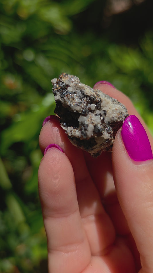 Galena & Marcasite Specimen • Option H