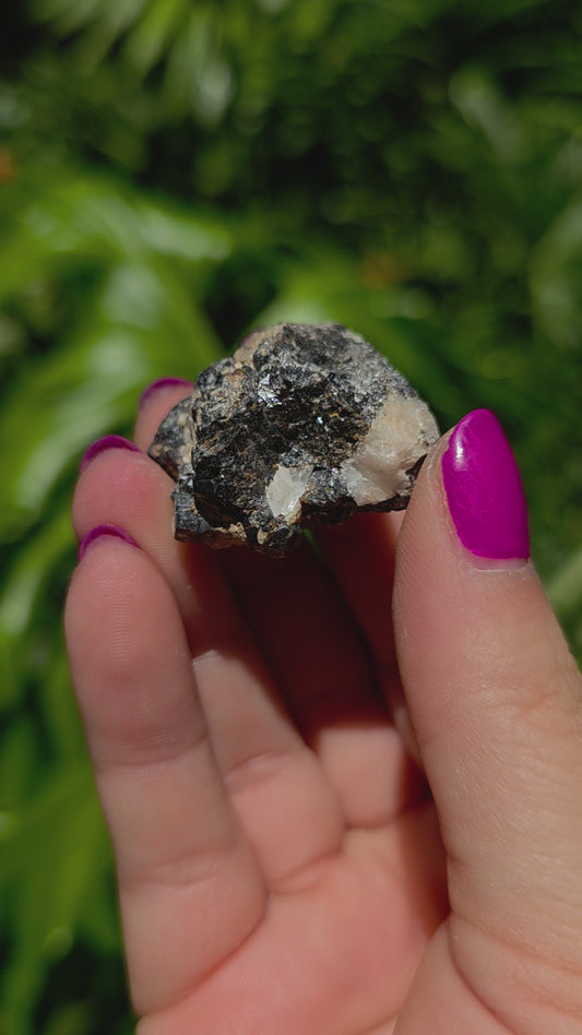 Galena & Marcasite Specimen • Option K