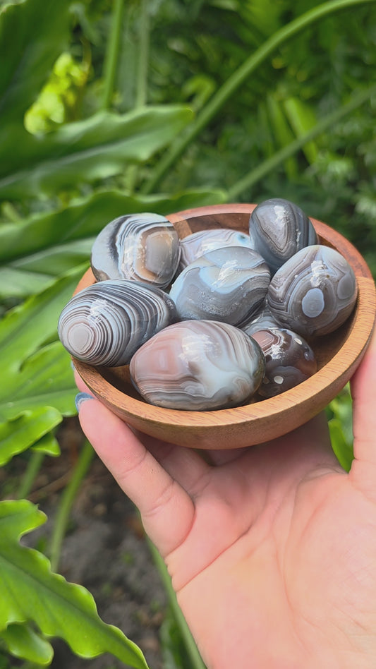 Botswana Agate Tumbles