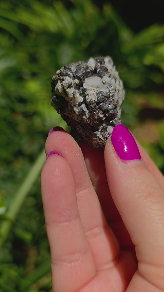 Galena & Marcasite Specimen • Option Q