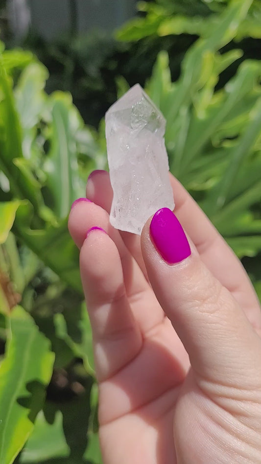 Lemurian Quartz • Option A