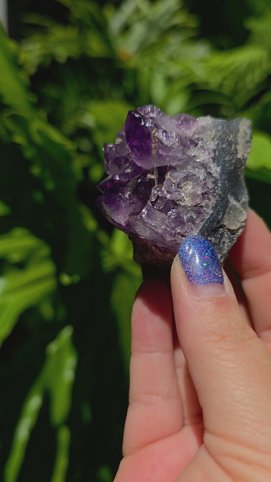 Amethyst Cluster • Option U • Brazil