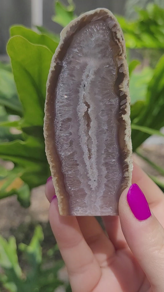 Polished Agate Geode • Option D